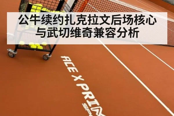 公牛续约扎克拉文后场核心与武切维奇兼容分析