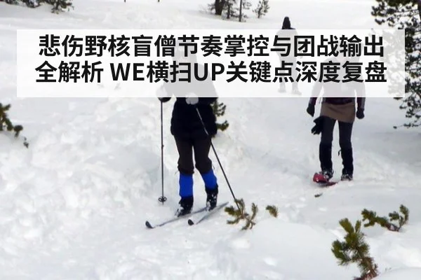 悲伤野核盲僧节奏掌控与团战输出全解析 WE横扫UP关键点深度复盘